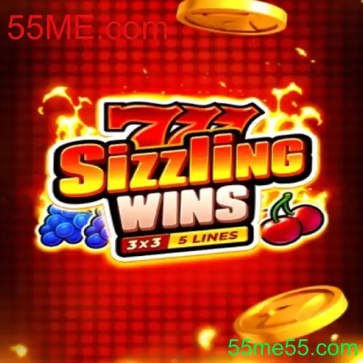 Explorando o Fascínio de 777sizzlingwins: Diversão e Oportunidades no 55ME.com